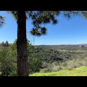 Meet your Posher, Israel